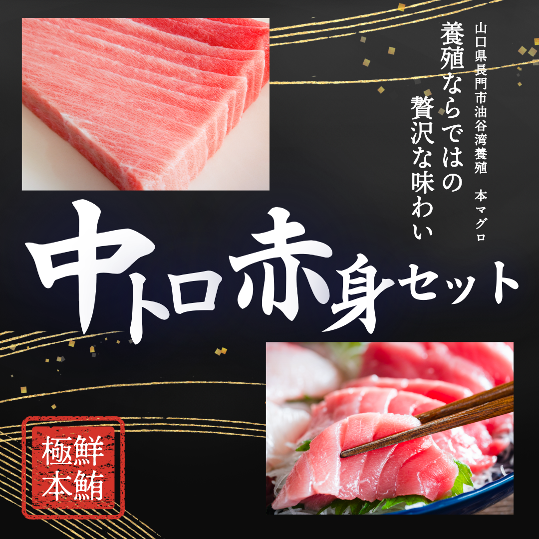 【まとめ割16%OFF】養殖本まぐろ 中トロ赤身約300gセット(約3人前) 中トロ約150g・赤身約150g(刺身用さく／冷凍)